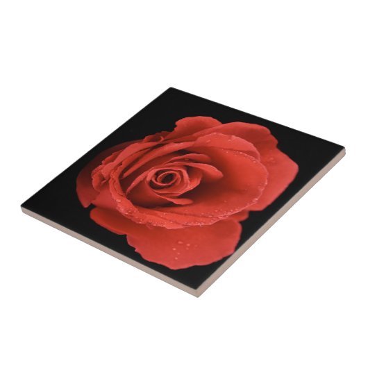 Red Drama Roos Tegeltje (Zijkant)