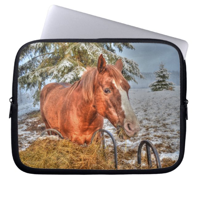 Red Dun Chestnut Horse Eating Hay Equine Foto Laptop Sleeve (Voorkant)