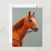Red Dun Chestnut Sorrel Western Quarter Horse Briefkaart (Voorkant / Achterkant)