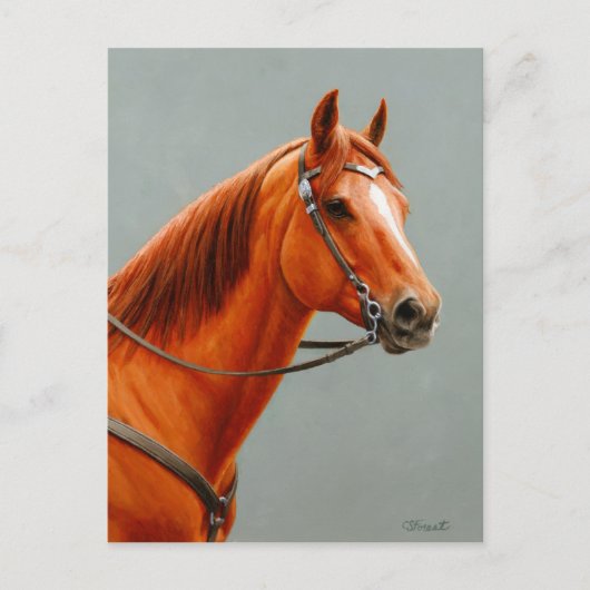 Red Dun Chestnut Sorrel Western Quarter Horse Briefkaart (Voorkant)
