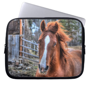Red Dun Horse en Barn 2 - Portret van paardenfoto Laptop Sleeve