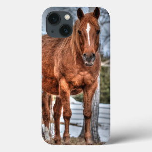 Red Dun Ranch Horse Equine lover-foto Case-Mate iPhone Case