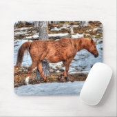 Red Dun Ranch Horse Equine Muismat (Met muis)
