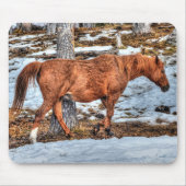 Red Dun Ranch Horse Equine Muismat (Voorkant)
