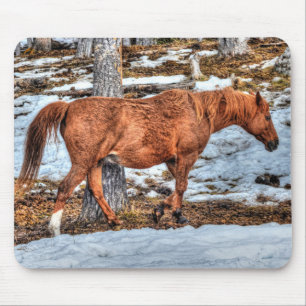 Red Dun Ranch Horse Equine Muismat