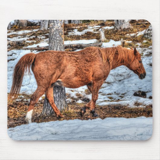 Red Dun Ranch Horse Equine Muismat (Voorkant)