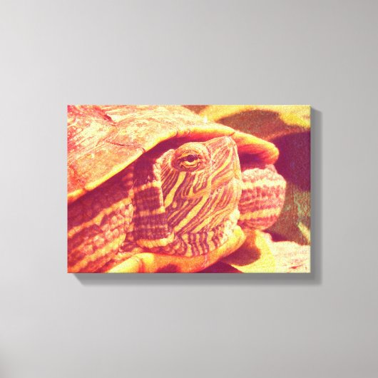 Red Ear Slider Turtle Canvas Afdruk (Voorkant)