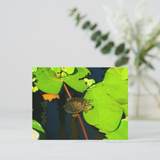 Red Eared Slider Briefkaart (Staand voorkant)
