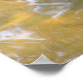 Red-eared Slider Hatchling Poster (Hoek)