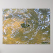 Red-eared Slider Hatchling Poster (Voorkant)