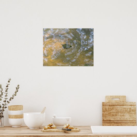 Red-eared Slider Hatchling Poster (Keuken)