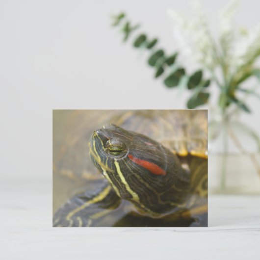 Red Eared Slider Turtle Briefkaart (Staand voorkant)