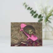Red Eared Slider Turtle Riding Skateboard Briefkaart (Staand voorkant)