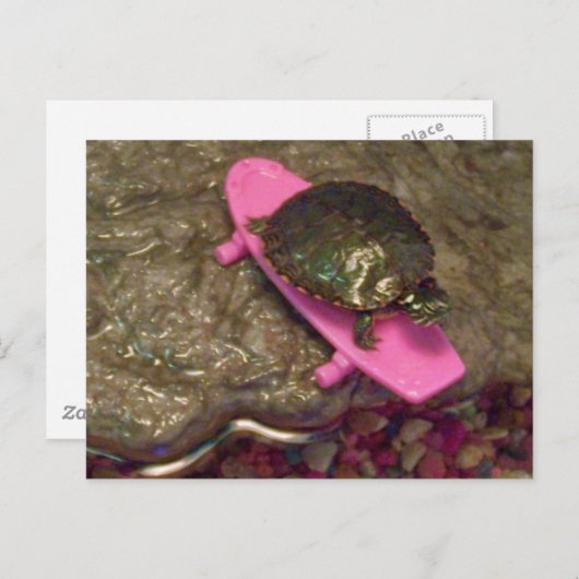 Red Eared Slider Turtle Riding Skateboard Briefkaart (Voorkant / Achterkant)