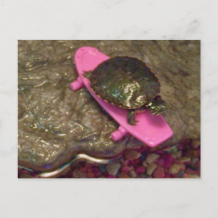 Red Eared Slider Turtle Riding Skateboard Briefkaart