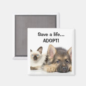 Red een leven... ADOPTEREN! Magneet (Voorkant / Achterkant)