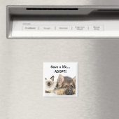 Red een leven... ADOPTEREN! Magneet (Insitu (Vaatwasser))