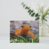 Red Eft Briefkaart (Staand voorkant)