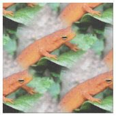 Red Eft Oranje Salamander Animal Pattern Stof (Close Up)