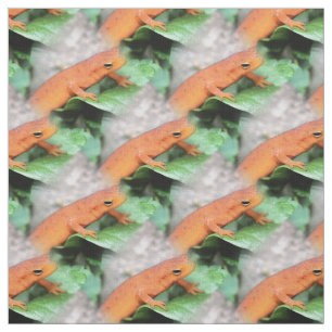 Red Eft Oranje Salamander Animal Pattern Stof
