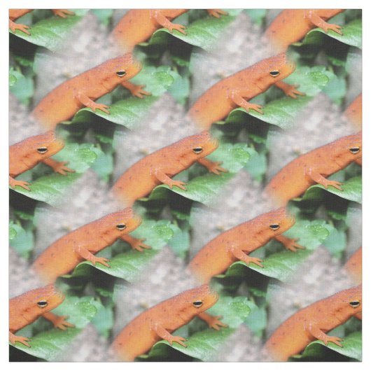 Red Eft Oranje Salamander Animal Pattern Stof (Swatch)
