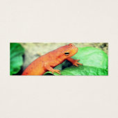 Red Eft Salamander Natuur Mini Bladwijzer Mini Visitekaartjes (Voorkant)