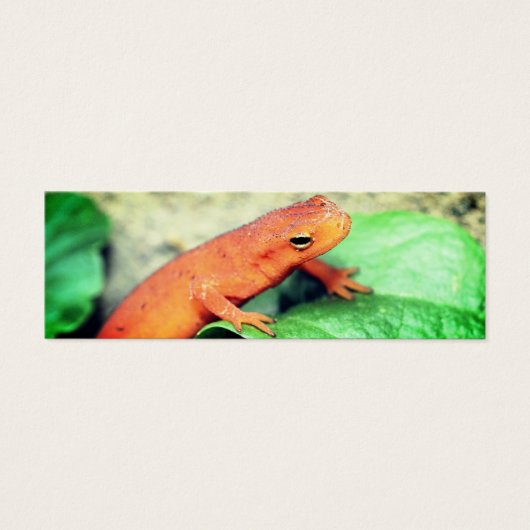 Red Eft Salamander Natuur Mini Bladwijzer Visitekaartjes (Voorkant)