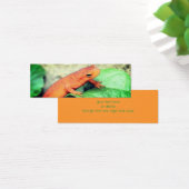 Red Eft Salamander Natuur Mini Bladwijzer Visitekaartjes (Bureau)