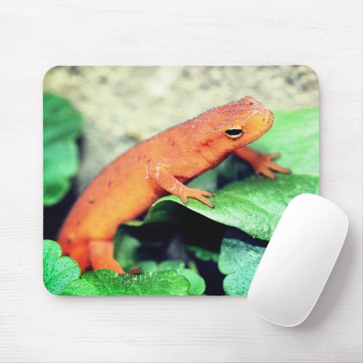 Red Eft Salamander Natuur Muismat (Met muis)