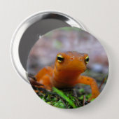 Red Eft Salamander Newt Natuur Button (Voorkant /achterkant)