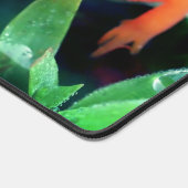 Red Eft Salamander Raindrop on Eye Personated Bureaumat (Hoek)