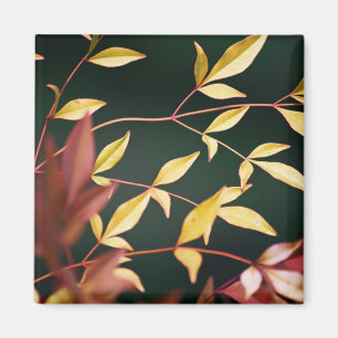 Red en Gold Magnet