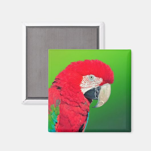 Red en Green Macaw Parrot Magnet (Voorkant / Achterkant)