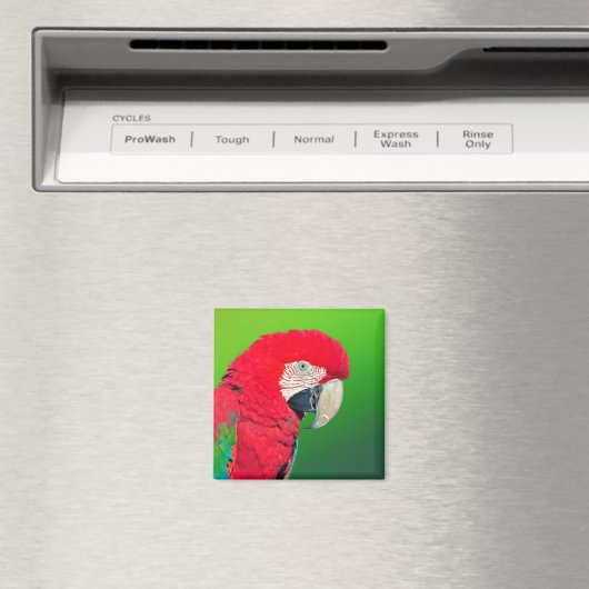 Red en Green Macaw Parrot Magnet (Insitu (Vaatwasser))