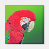 Red en Green Macaw Parrot Magnet (Voorkant)