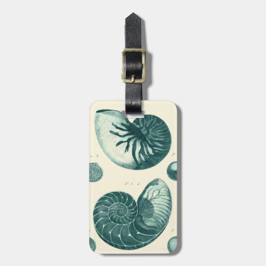 Red en Green Seashell Art Bagagelabel (Voorkant verticaal)