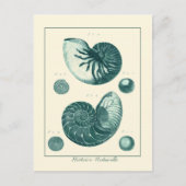 Red en Green Seashell Art Briefkaart (Voorkant)