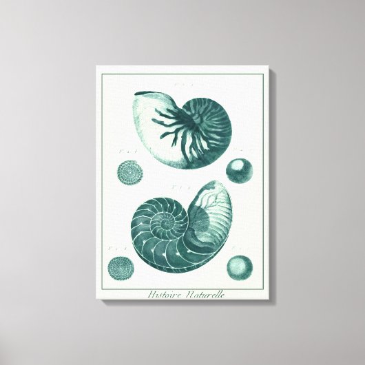 Red en Green Seashell Art Canvas Afdruk (Voorkant)
