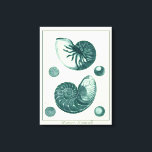 Red en Green Seashell Art Canvas Afdruk<br><div class="desc">Artiest Denis Diderot is getalenteerd en bekend om zijn grote afbeeldingen in het leven van zeeen. In dit levendige afbeelding vangt hij twee rode en groene gekraakte Conch-seizoenen in hun meest natuurlijke stijl. Conches worden vaak gekraakt zoals deze twee seizoenshellen en in een sepia-achtige toon. Haal vandaag je zeeschol-product en...</div>