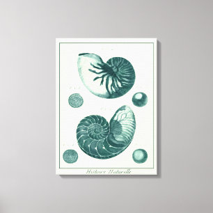 Red en Green Seashell Art Canvas Afdruk