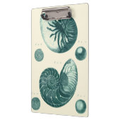 Red en Green Seashell Art Klembord (Links)