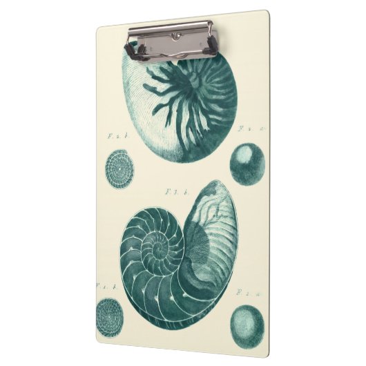 Red en Green Seashell Art Klembord (Links)