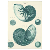 Red en Green Seashell Art Klembord (Achterkant)