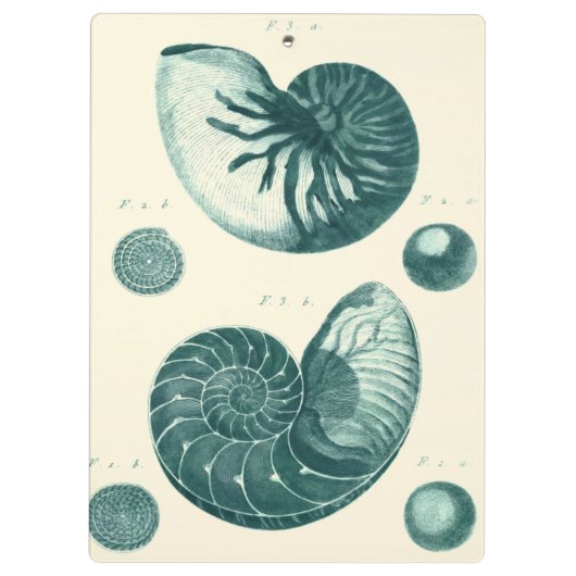 Red en Green Seashell Art Klembord (Achterkant)