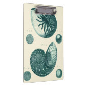 Red en Green Seashell Art Klembord (Rechts)