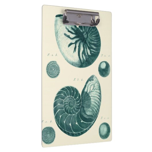 Red en Green Seashell Art Klembord (Rechts)