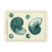 Red en Green Seashell Art Magneet (Horizontaal)