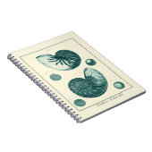 Red en Green Seashell Art Notitieboek (Rechterzijde)