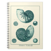 Red en Green Seashell Art Notitieboek (Voorkant)