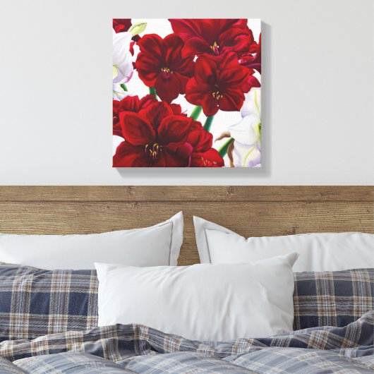 Red en White Amaryllis 2008 Canvas Afdruk (Insitu (Slaapkamer))